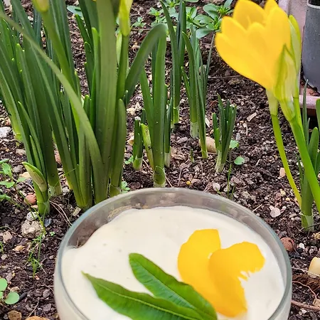 Bed & Breakfast Les Parfums Du Midi