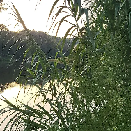 Bed & Breakfast Les Parfums Du Midi Saint-Victor-de-Malcap