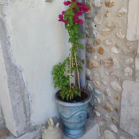 Les Parfums Du Midi
